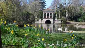 Eight Liverpool parks named among the best in UK - now it's time to choose your favourite
