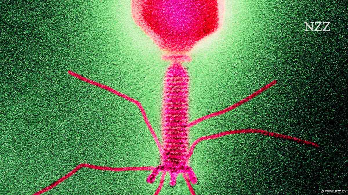 Heilmittel oder potenzielle Biowaffe? KI erfindet neues Virus