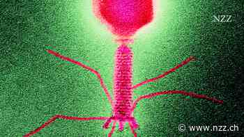 Heilmittel oder potenzielle Biowaffe? KI erfindet neues Virus
