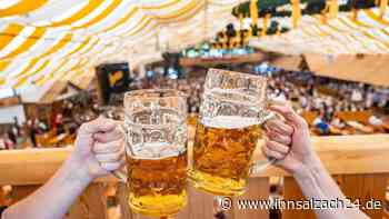 Skurriler Klau auf Gäubodenvolksfest: Duo stiehlt Riesen-Krokodil