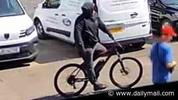 Hunt for the Gingerbread Man: £10,000 reward to catch masked robber who has been targeting women and pensioners for their jewellery for more than a year