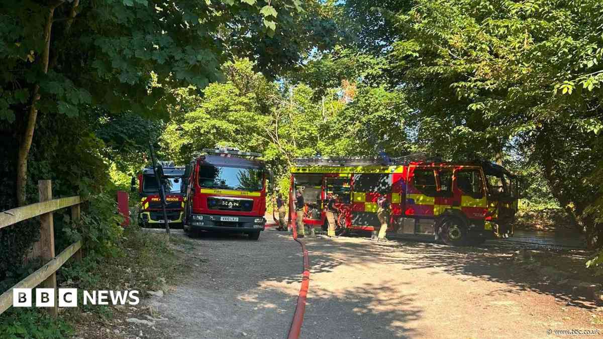 National Trust issue warning after woodland fire