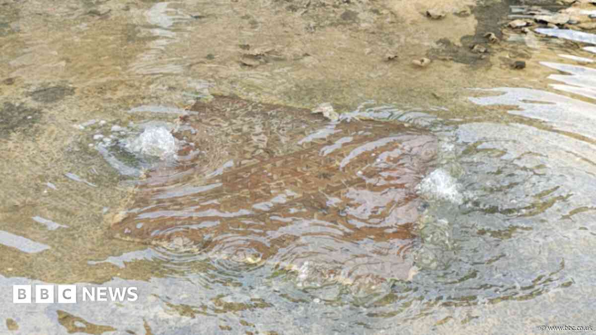 Pledge to ensure sewers can cope with homes plan