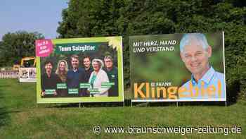 Neue Regeln für Wahlplakate in Salzgitter: Wer kontrolliert das eigentlich?