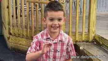 Five-year-old boy with autism second to drown in apartment complex pond in just two months