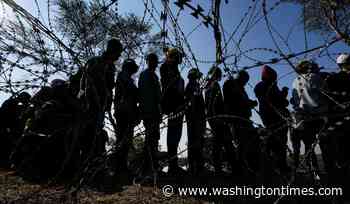 More than 178,000 immigrants have suddenly fled or been deported from South Africa