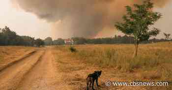 Europeans face energy crisis as heat wave brings wildfires and drought