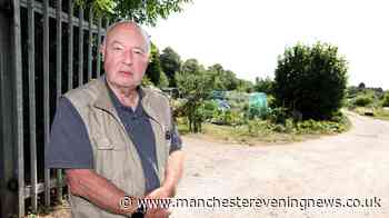 The Stockport allotment 'war' with accusations of harassment, intimidation and a felled plum tree