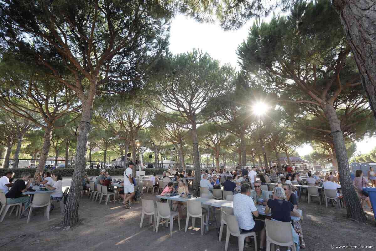 « En pleine canicule, c’est top d’avoir installé la Grande mouclade dans la pinède » : l’évènement accueille le public ce samedi et dimanche à La Seyne