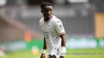 Swansea City player ratings as new signing impresses but defender has day to forget