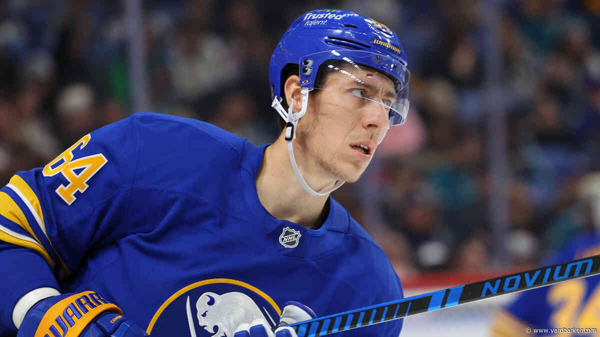 Would Logan Stanley Be an Odd Duck with the Maple Leafs?
