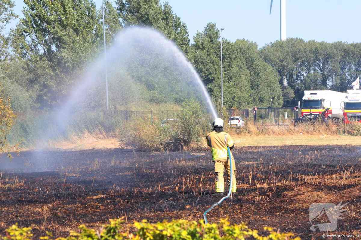 Massale uitruk brand Nieuwegein: grasveld van 1 hectare in vlammen opgegaan
