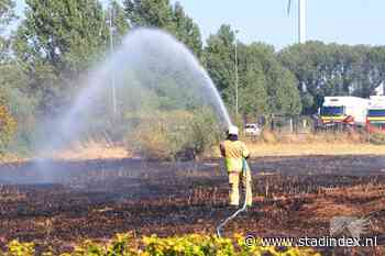 Massale uitruk brand Nieuwegein: grasveld van 1 hectare in vlammen opgegaan