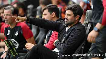 Swansea City star taken to hospital as Vitor Matos admits injury 'doesn't look good'