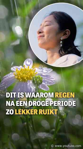 Dit is waarom regen na een droge periode zo lekker ruikt