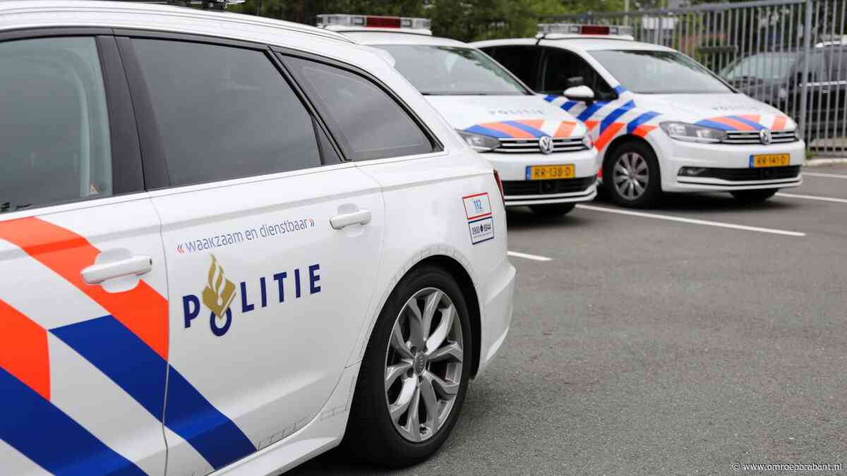 Bestuurder van gestolen auto rijdt in op politiewagen: agent gewond