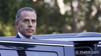 Hunter Biden commends 'woken up' Massie, Greene for standing up to Trump