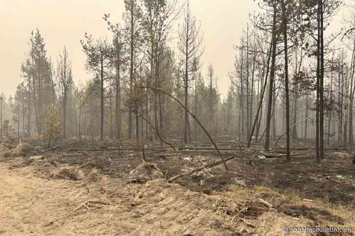 Four fires burning near Clinton grow to nearly 200,000 hectares