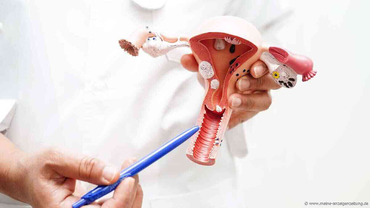 Neue Studie zeigt: Alltagszucker könnte die Ausbreitung von Krebszellen fördern
