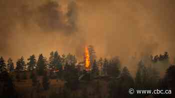 PHOTOS | Aggressive wildfire triggers evacuation of Summerland in B.C.'s Okanagan Valley