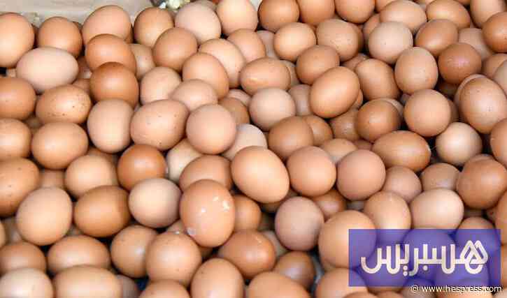 بعد أسابيع من الركود والخسائر المالية .. أسعار البيض تعاود الارتفاع بالمغرب