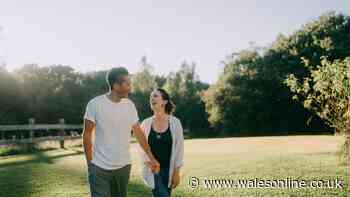 Things to do in Wales for grown-ups that need a break from the kids