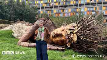 Award-winning garden opens to the public