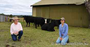 Paved for progress: farming community lands in Sydney's newest flight path