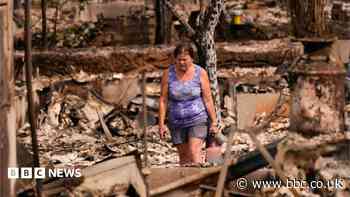 Scale of devastation shocks US city's fire-seasoned residents