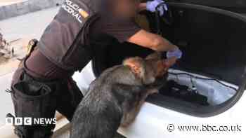 Spanish police arrest 78 people in bust of 'one of largest' smuggling networks