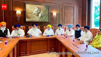 6 years after NDA exit, Punjab's SAD backs delimitation push
