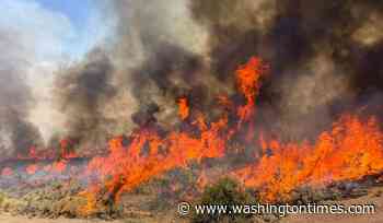 Dangerous wildfire keeps crews from reaching helicopter crash in Utah
