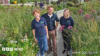 Commonwealth Games garden to be replanted in Port Glasgow