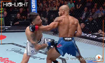 UFC Vegas 120 highlight video: Miles Johns shocks Gianni Vazquez with comeback TKO