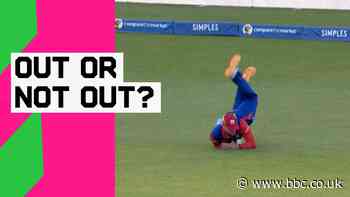Stubbs 'fuming' after stunning elbow catch is overturned