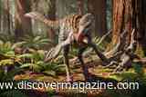 A 73-Million-Year-Old Misidentified Dinosaur Fossil Reveals New Mexico&rsquo;s Cretaceous Predators Were More Diverse