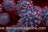 Some COVID-19 Patients Suffered Heart Damage, an Overlooked Coronavirus Protein May Explain Why