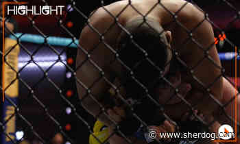 UFC Vegas 120: Jose Luiz strangles Louie Sutherland