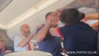 Brave British Airways flight attendant restrains unruly passenger on Las Vegas flight
