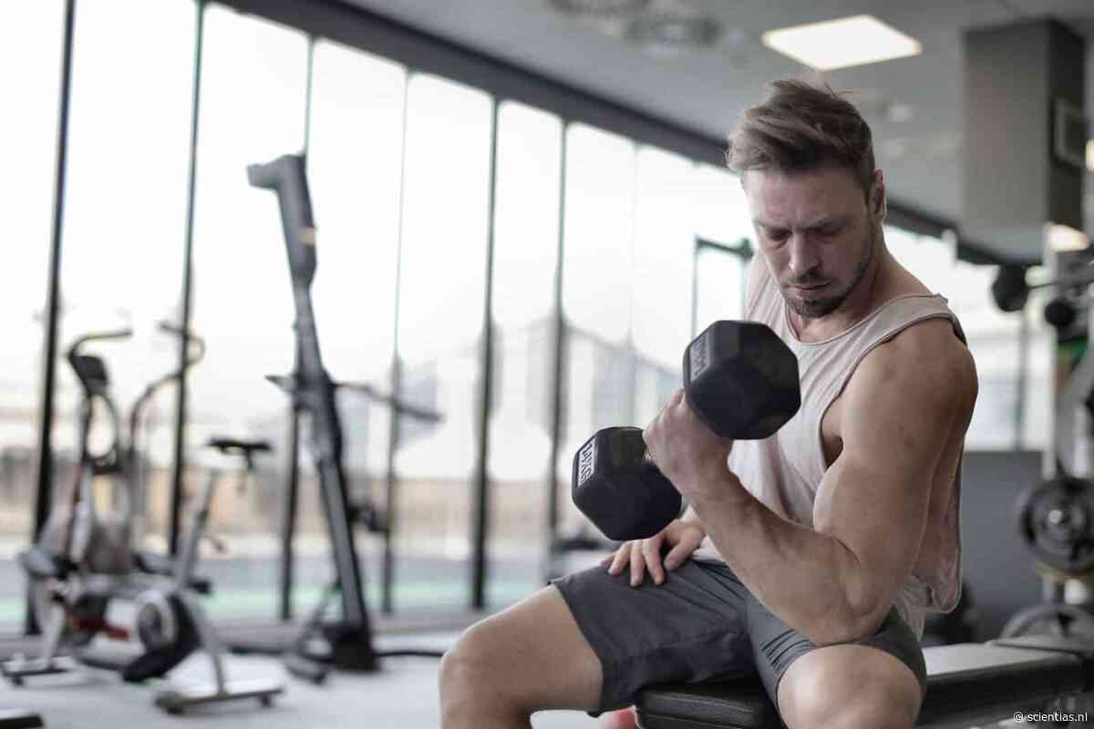 Die spiermassa van bodybuilders? Die hebben ze misschien wel een beetje aan de neanderthalers te danken