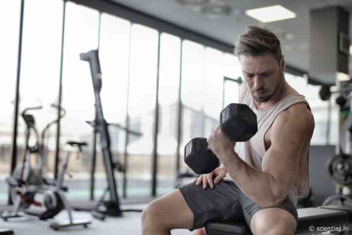 Die spiermassa van bodybuilders? Die hebben ze misschien wel een beetje aan de neanderthalers te danken