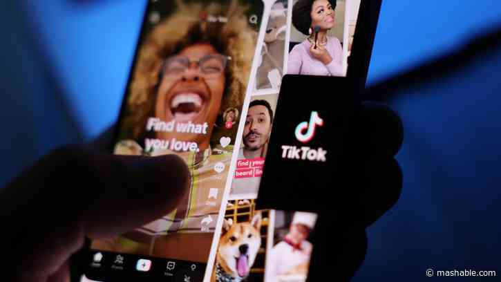TikTok quickly pauses dating live chat test