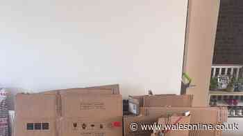 I asked waste experts the reason councils don't collect excess cardboard
