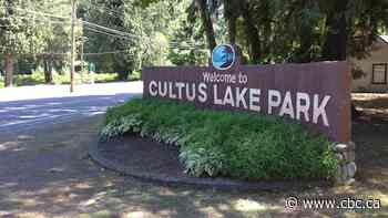 'Active search' underway amid possible drowning at B.C.'s Cultus Lake