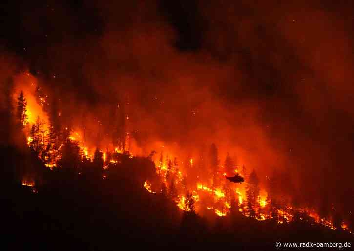 Westkanadische Provinz ruft wegen Waldbränden Notstand aus