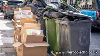 I asked experts what to do when you’ve got too much cardboard for the bin
