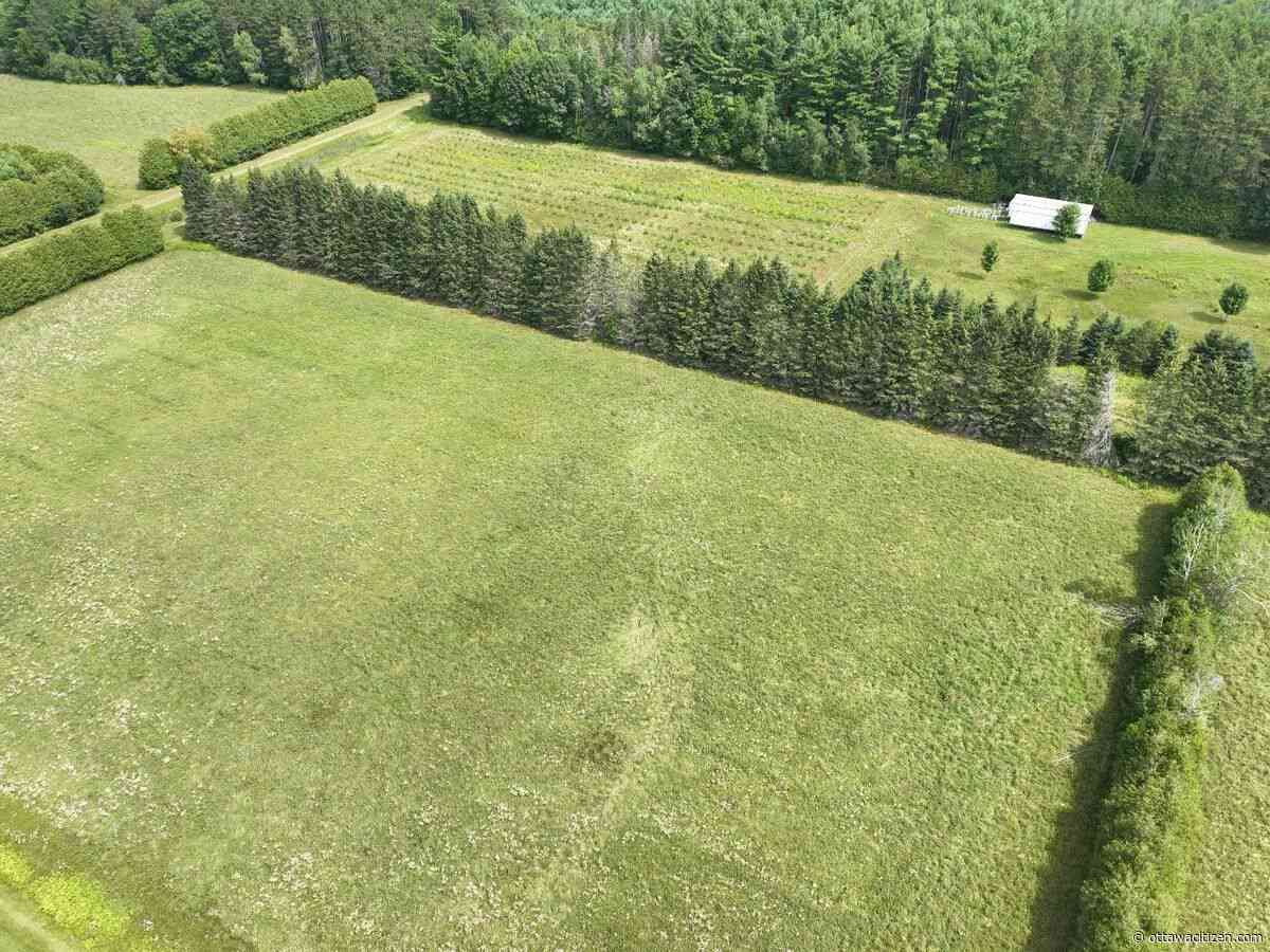 Tornado near Kemptville on Aug. 2 confirmed