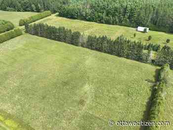 Tornado near Kemptville on Aug. 2 confirmed