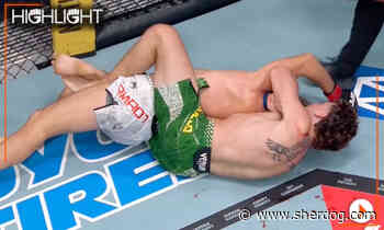 UFC Vegas 120 highlight video: Quillan Salkilld RNCs Mateusz Gamrot