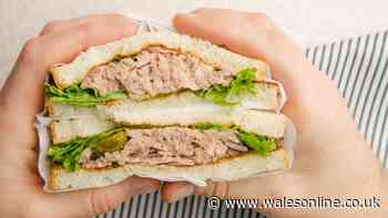 Tuna sandwiches taste better when you switch mayo for different ingredient
